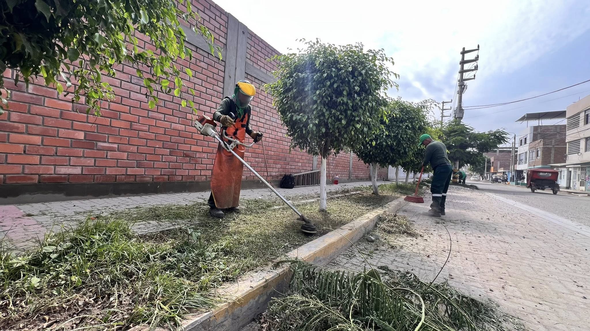 🌿🌳 MANTENIMIENTO DE ÁREAS VERDES EN EL SECTOR LA ALAMEDA - AV. J. I. CHOPITEA 🌿🌳